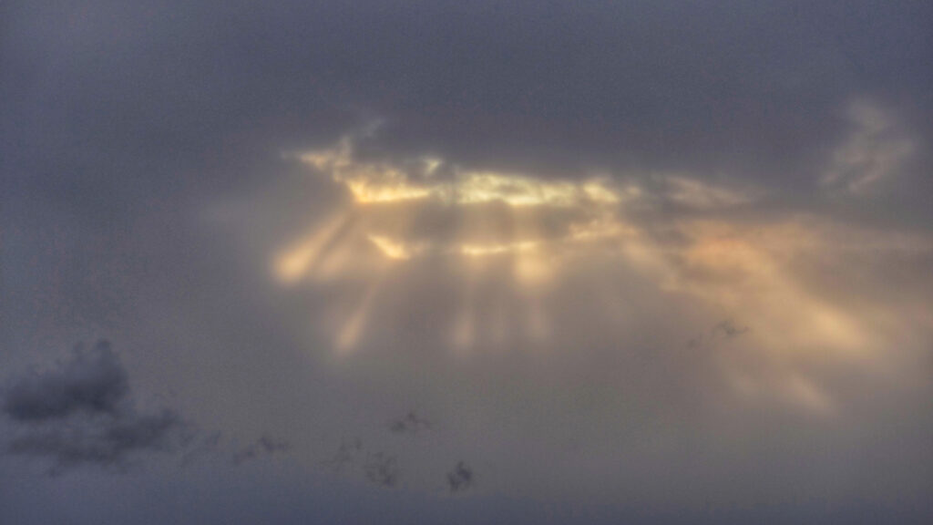 PANA3836 01 e1669799082530